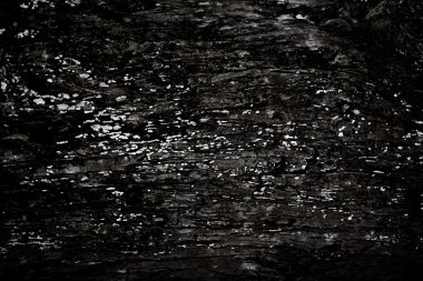 Ağaç kabuğu dokusu arka plan