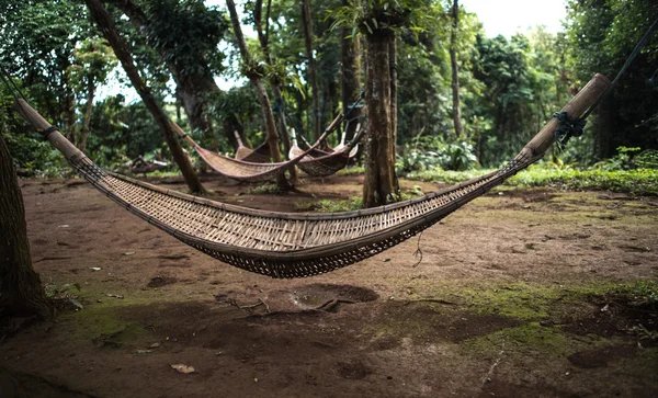 Natural weave hammock in forest — Stock Photo, Image