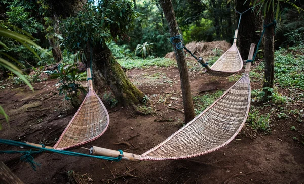 Natural weave hammock in forest — Stock Photo, Image