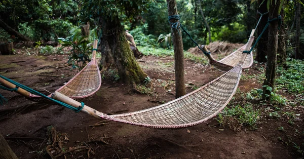 Natural weave hammock in forest — Stock Photo, Image