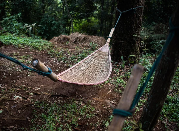 Natural weave hammock in forest — Stock Photo, Image