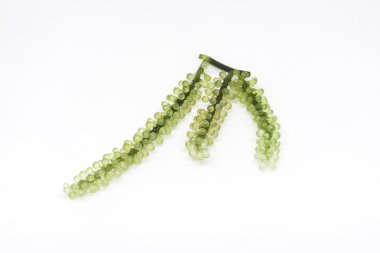 Deniz Üzümü beyaz arkaplanda izole edildi