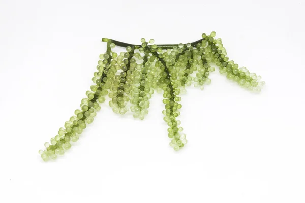Sea grape isolated on white background — Stock Photo, Image
