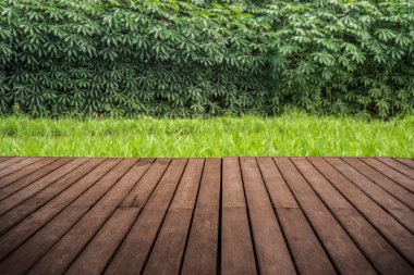 perspektif boş ahşap teras ile pirinç alan backgr bulanık