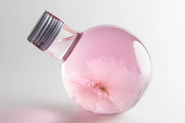 Sakura likör