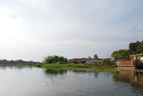 River life — Stock Photo, Image