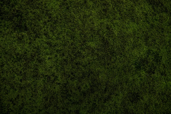 Moss — стоковое фото