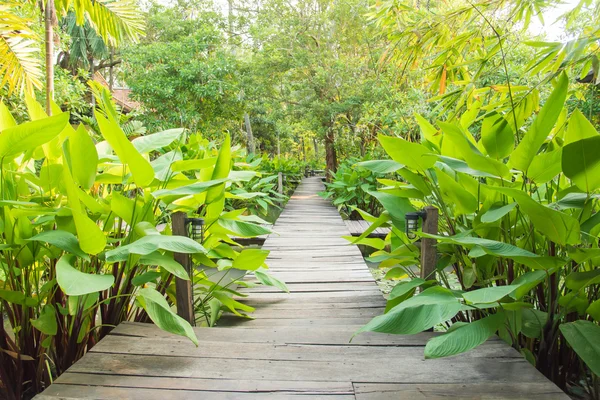 Entrance gate to tropical garden — Stock Photo, Image