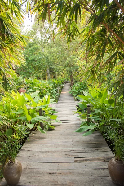 Infart till tropisk trädgård — Stockfoto