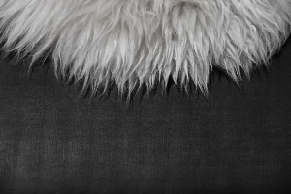 White fur texture