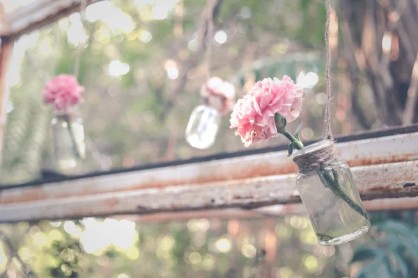 Vaso di fiori appeso — Foto Stock