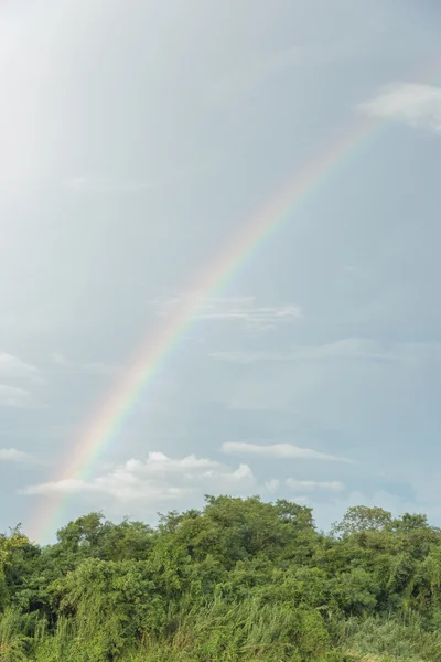 Rainbow — Stock Photo, Image