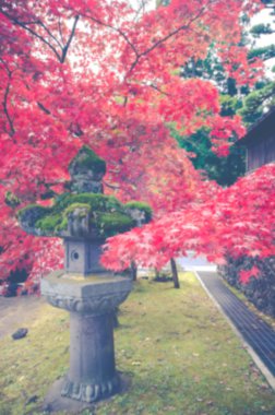 akçaağaç yaprağı