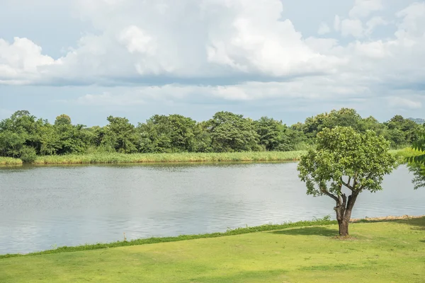 Flusslandschaft — Stockfoto