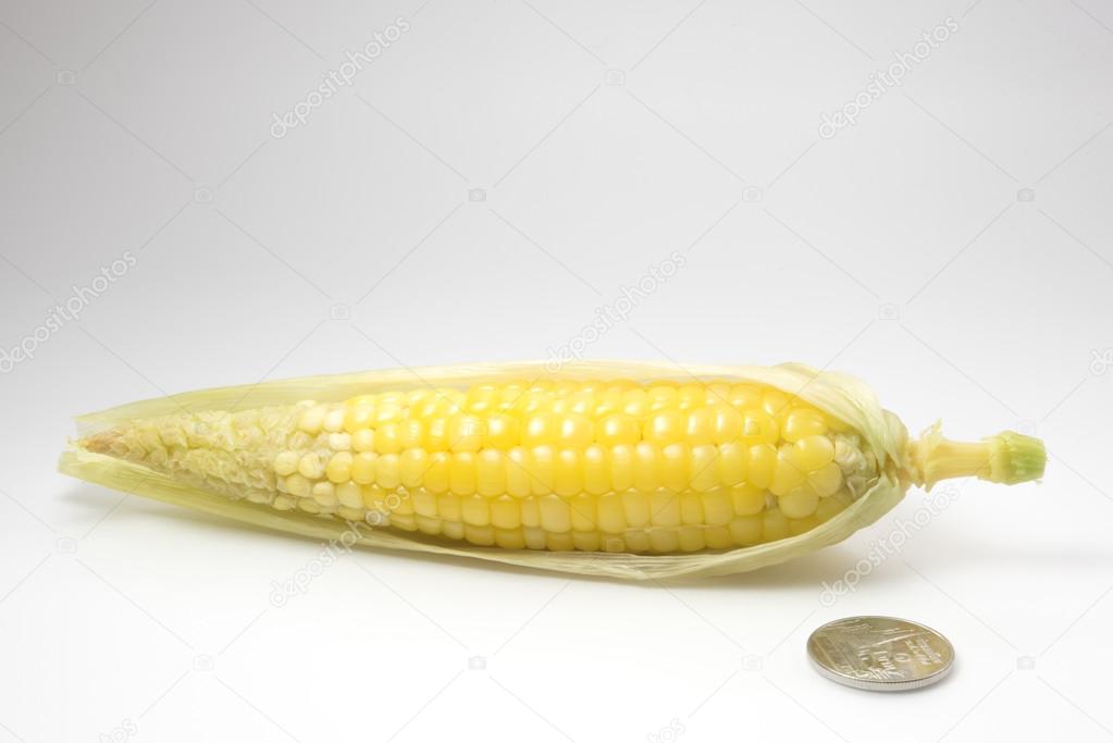 little sweet corn