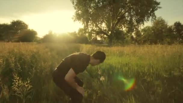 Homem cai através de grama alta ao pôr do sol, câmera lenta (60 fps ) — Vídeo de Stock