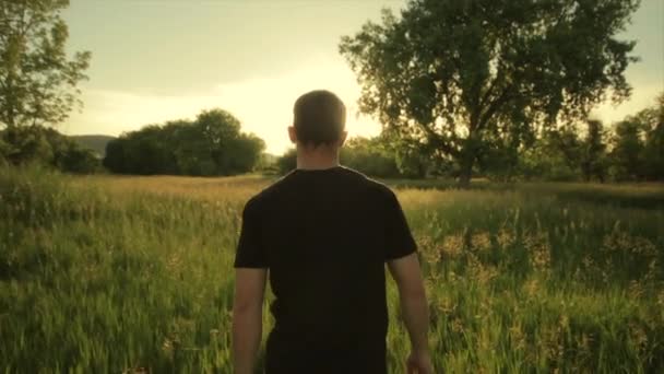 L'homme marche dans le champ d'herbe haute au coucher du soleil, au ralenti (60 ips ) — Video