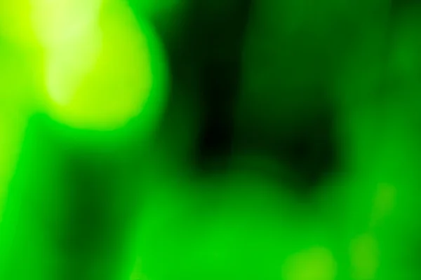 renkli arka planlar bulanık / yeşil arka plan