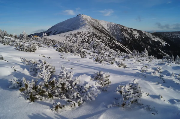 Pico de Snezka Imagem De Stock