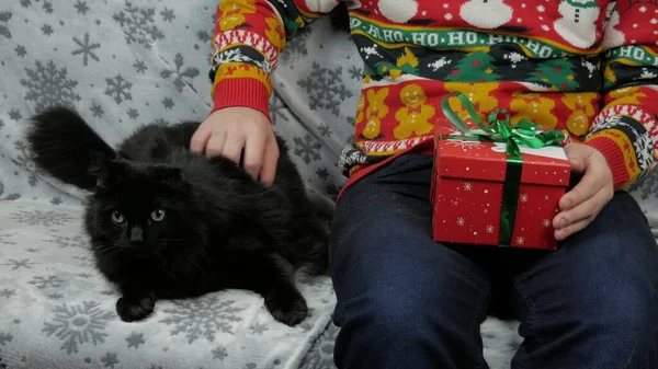 Yeni yıl tatili genç adam bir hediye açar ve paketler, şampanya, yeni yıl hediyeleri, yeni yıl süsleri ve iyi bir ruh hali ve siyah bir kedi.