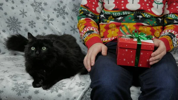 Yeni yıl tatili genç adam bir hediye açar ve paketler, şampanya, yeni yıl hediyeleri, yeni yıl süsleri ve iyi bir ruh hali ve siyah bir kedi.