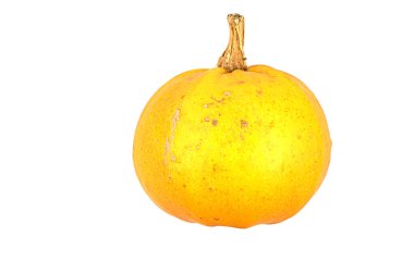 Beyaz zemin üzerinde izole edilmiş küçük turuncu balkabağı.