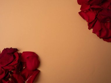 Birçok kırmızı gül yaprakları turuncu arka planda ve altında yatar.