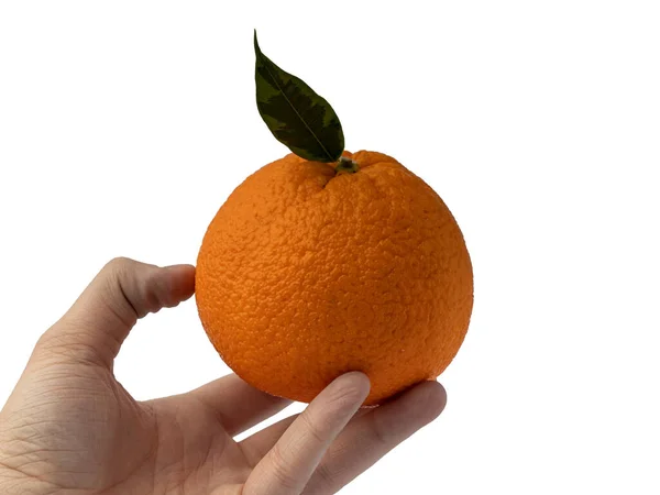 Laranja Isolada Sobre Fundo Branco Sumo Fresco Conceito Fruta — Fotografia de Stock