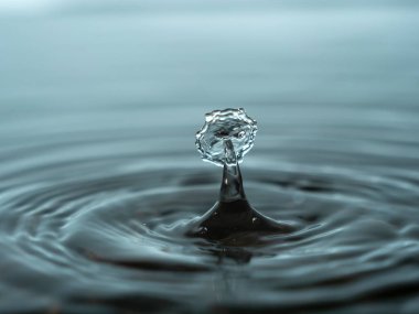 Akvaryuma bir damla su sıçratıyorum. Renkli su damlası