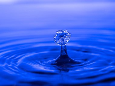 Akvaryuma bir damla su sıçratıyorum. Renkli su damlası