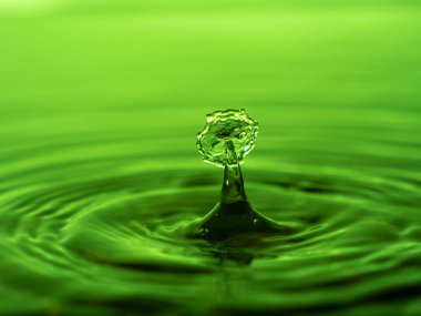 Akvaryuma bir damla su sıçratıyorum. Renkli su damlası