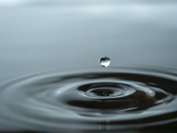 Splashing a drop of water into the aquarium. Colorful water drop