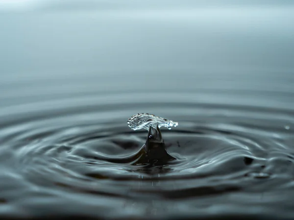 Verser Une Goutte Eau Dans Aquarium Goutte Eau Colorée — Photo