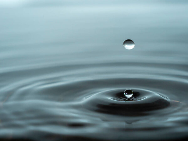 Splashing a drop of water into the aquarium. Colorful water drop