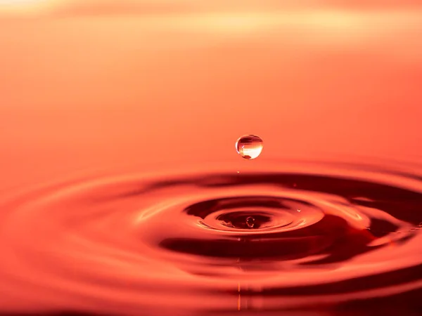 Lanzando Una Gota Agua Acuario Gota Agua Colorida —  Fotos de Stock