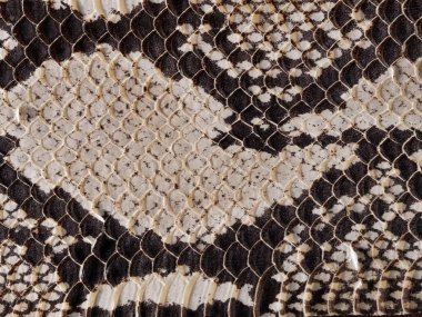 Koyu açık piton derisi dokusu, pahalı deri aksesuarlar konsepti.