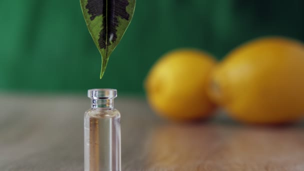 緑の葉からガラス瓶に滴下液体のドロップアップ 背景には2つの黄色のレモンと緑の背景があります 医学と油の概念 — ストック動画