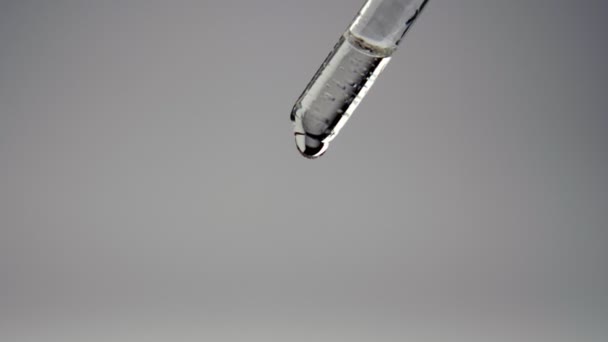 Close White Liquid Pipette Dripping Isolated Gray Background Medicine Oils — Stock Video