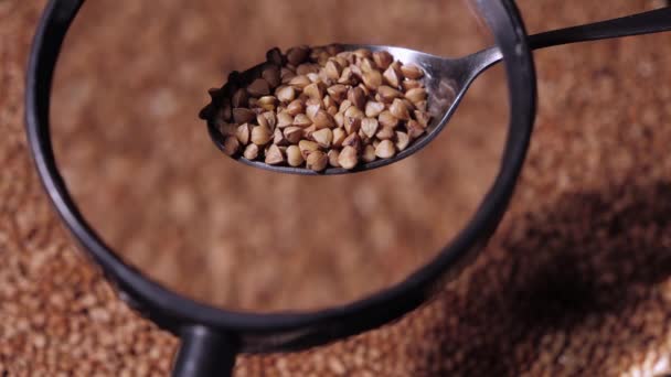 一只勺子的特写 汤匙上有米 通过放大镜和大量的米旋转在一个盘子的背景 健康食品概念 — 图库视频影像