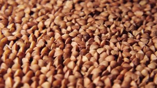 Üzerinde Pirinç Olan Bir Kaşık Yakın Plan Büyüteç Arka Planda — Stok video