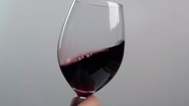 Bir Adamın Eli Içinde Kırmızı Şarap Olan Bir Kadehi Hafifçe — Stok video