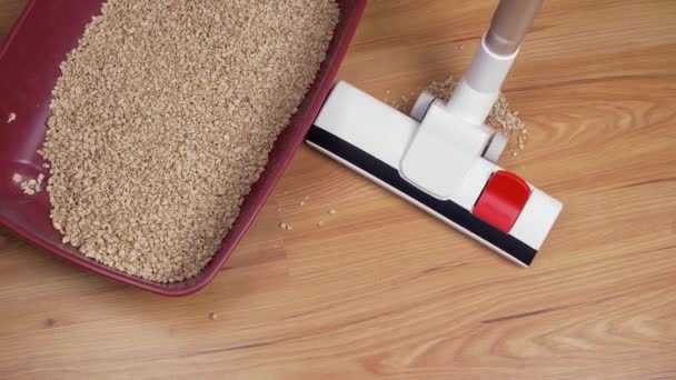 Close Dari Vacuum Cleaner Menghapus Pelet Sebelah Kotak Sampah Konsep — Stok Video