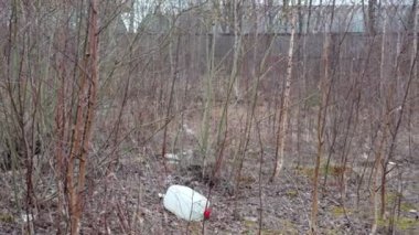 Hepsi çöp, plastik şişelerle kirletilmiş ince ağaçlar koruluğu, doğanın çöp konsepti, ekolojik bir felaket.