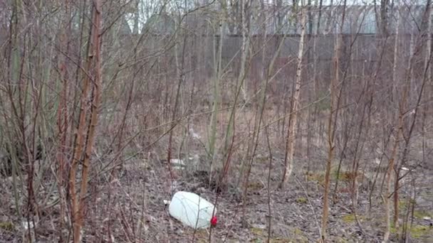 Una Arboleda Árboles Delgados Todos Contaminados Con Basura Botellas Plástico — Vídeo de stock