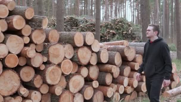 Floresta Árvores Caídas Que Encontram Montes Cara Lamenta Que Não — Vídeo de Stock