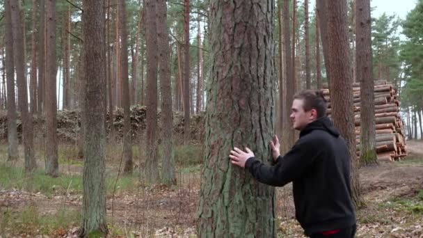 Forest Fallen Trees Lie Heaps Guy Grieves More Trees Felling — Vídeo de stock