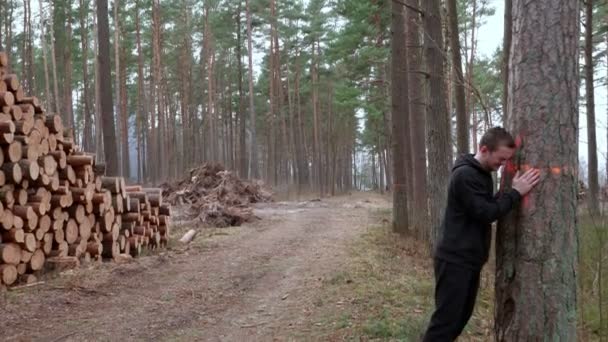 Floresta Árvores Caídas Que Encontram Montes Cara Lamenta Que Não — Vídeo de Stock