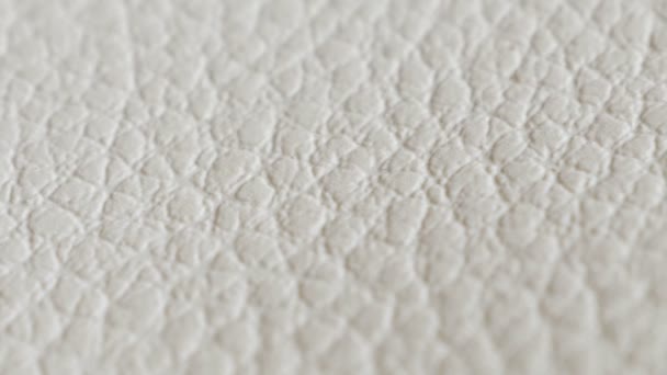 Cuir Blanc Texture Cuir Véritable Motif Cuir Véritable Gros Plan — Video