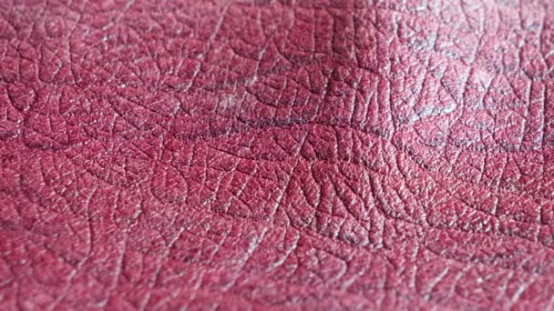 Red Leather Texture Real Leather Pattern Real Leather Close Shot — Stock Video