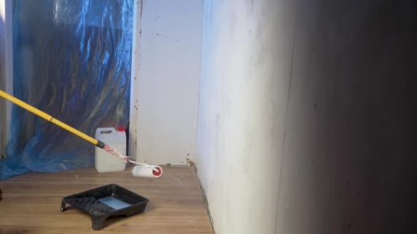 女工用建筑用的滚筒在墙上打底 准备粉刷表面 翻新房屋的概念 — 图库视频影像